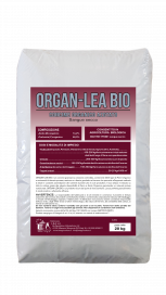 Sacco_Organ-Lea Bio