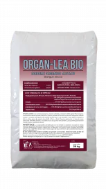 Sacco_Organ-Lea Bio