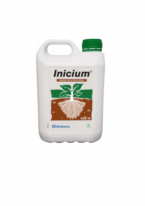 Inicium_2023 Inicium_2023